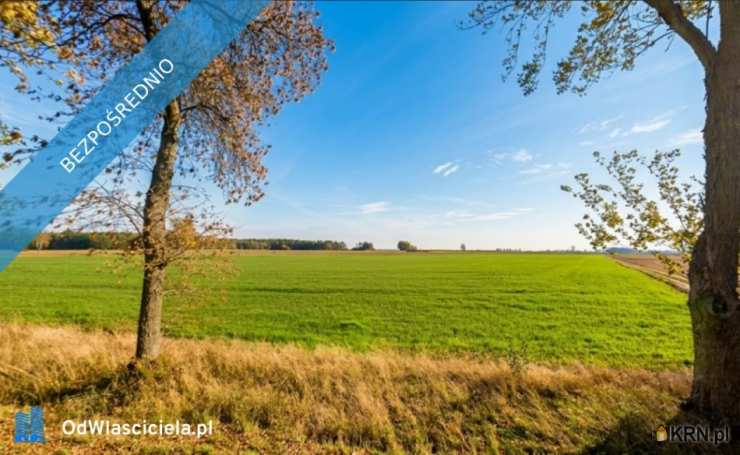 Działki  na sprzedaż, Stawek, ul. , 