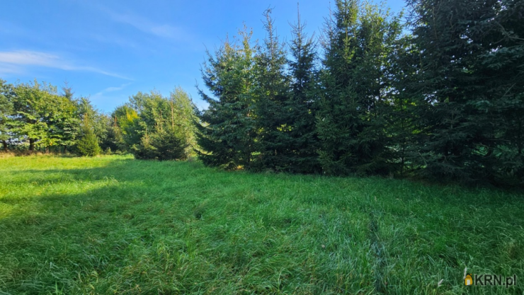 Kamiennik Wielki, ul. , , Działki  na sprzedaż