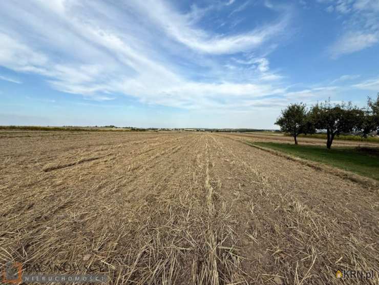 Cianowice Duże, ul. , Działki  na sprzedaż, 