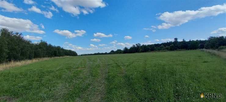 Cieszów, ul. , , Działki  na sprzedaż