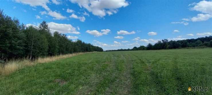 , Działki  na sprzedaż, Cieszów, ul. 