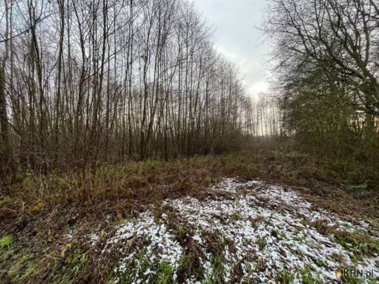 Pegaz Nieruchomości, Działki  na sprzedaż, Rybno Wielkie, ul. 