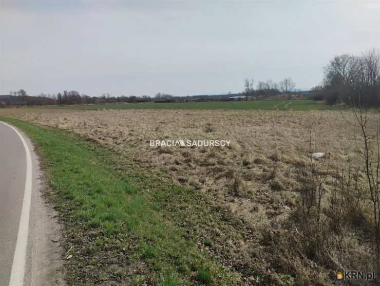 Kłokoczyn, ul. , Działki  na sprzedaż, 