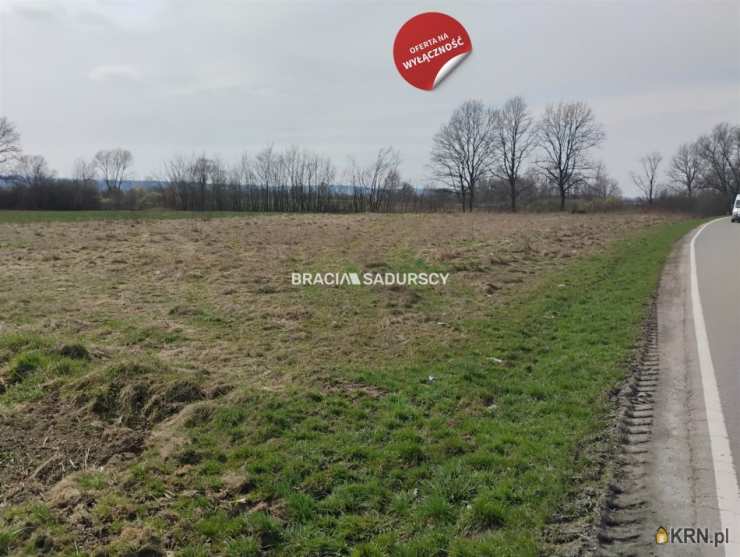 Działki  na sprzedaż, Kłokoczyn, ul. , 