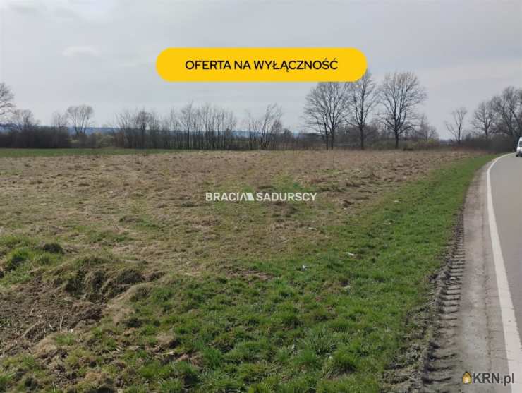 Działki  na sprzedaż, Kłokoczyn, ul. , 