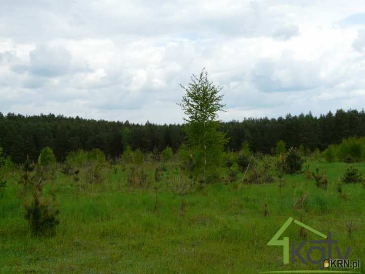 Działki  na sprzedaż, Dorotowo, ul. , 