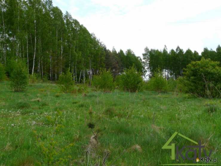 , Działki  na sprzedaż, Dorotowo, ul. 