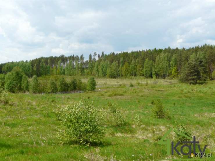 Działki  na sprzedaż, Dorotowo, ul. , 