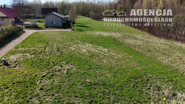 Działki  na sprzedaż, Pisarzowice, ul. Leśna, 