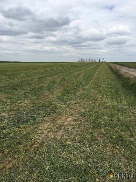 , Działki  na sprzedaż, Zamość, ul. 