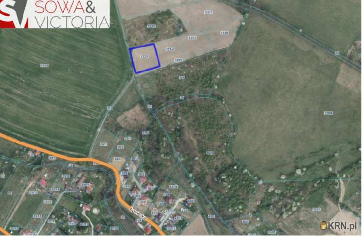 Działki  na sprzedaż, Wałbrzych, Lubiechów, ul. , 