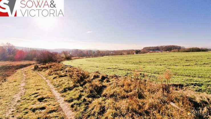 Działki  na sprzedaż, , Wałbrzych, Lubiechów, ul. 