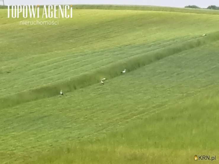 Jeziorko, ul. , Działki  na sprzedaż, 