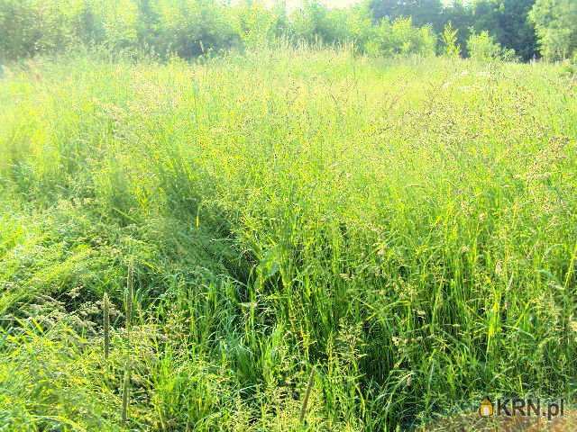 Nowe Bogaczowice, ul. , , Działki  na sprzedaż