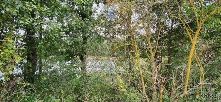 , Działki  na sprzedaż, Skolity, ul. 