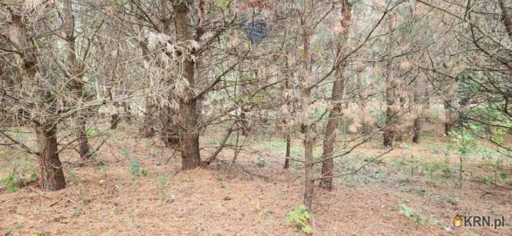 Działki  na sprzedaż, Skolity, ul. , 