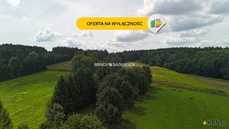 Działki  na sprzedaż, Brody, ul. , 