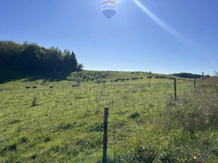 Działki  na sprzedaż, , Dudki, ul. 