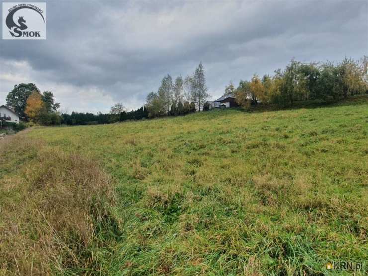 Działki  na sprzedaż, , Golkowice, ul. 