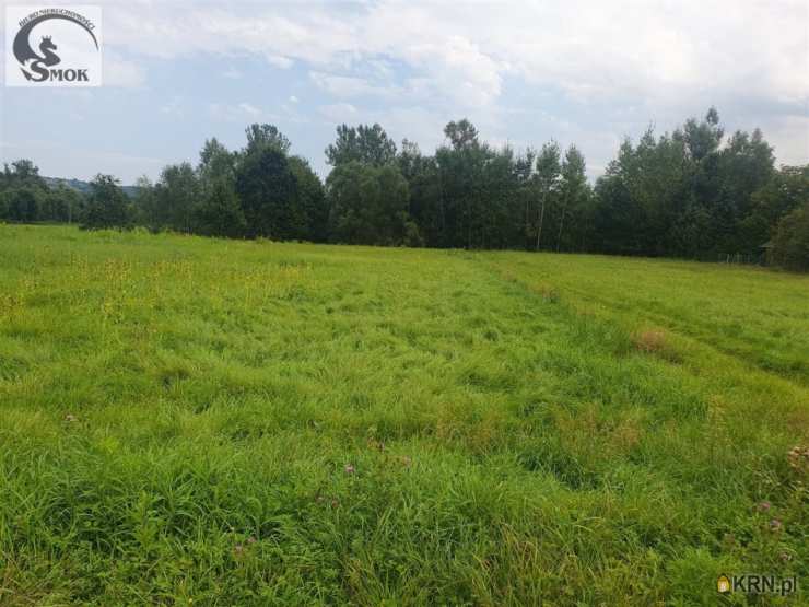 Działki  na sprzedaż, , Radziszów, ul. 