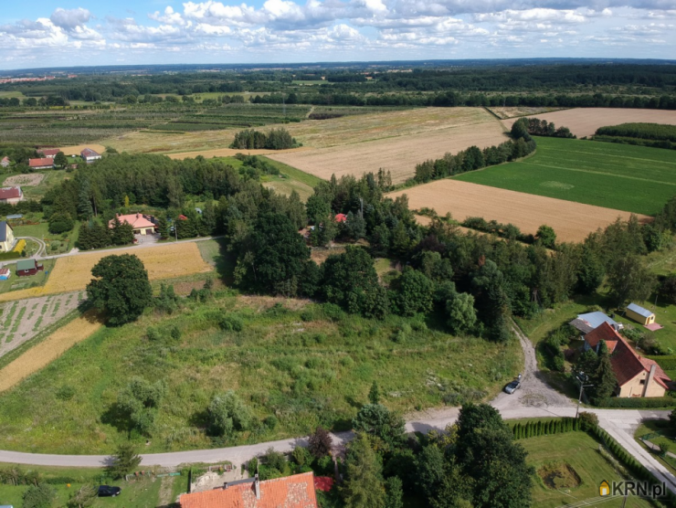 Stępień, ul. , , Działki  na sprzedaż