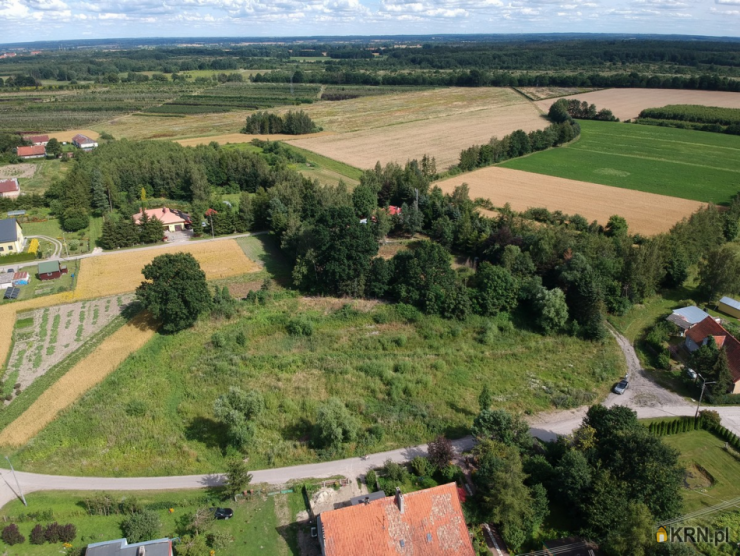 , Stępień, ul. , Działki  na sprzedaż