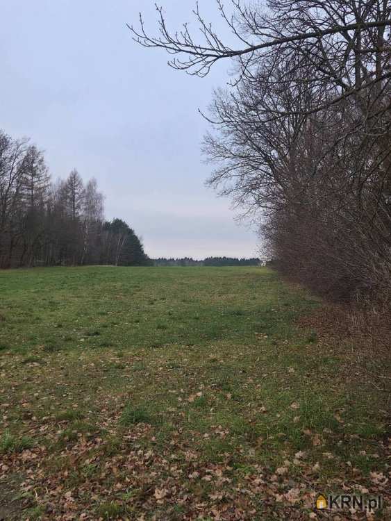 Zaryte, ul. , Działki  na sprzedaż, 