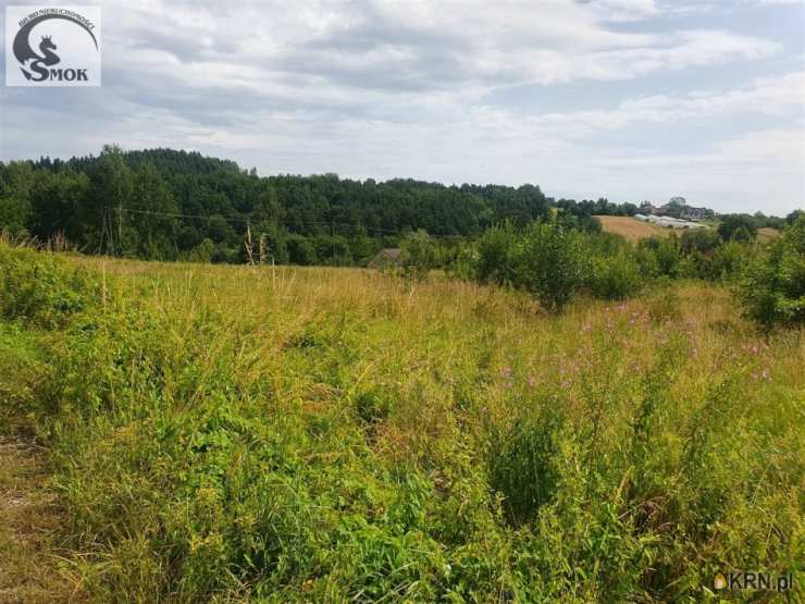 Działki  na sprzedaż, , Żegocina, ul. 