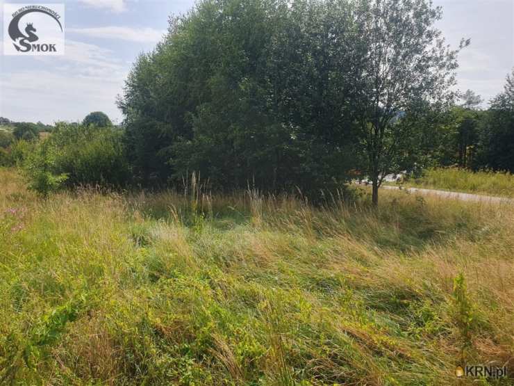 Żegocina, ul. , Działki  na sprzedaż, 