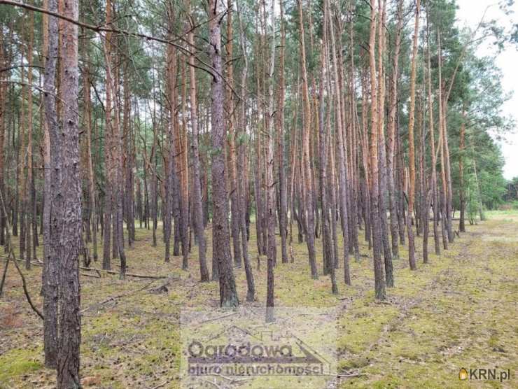 Działki  na sprzedaż, Popowo-Letnisko, ul. , 