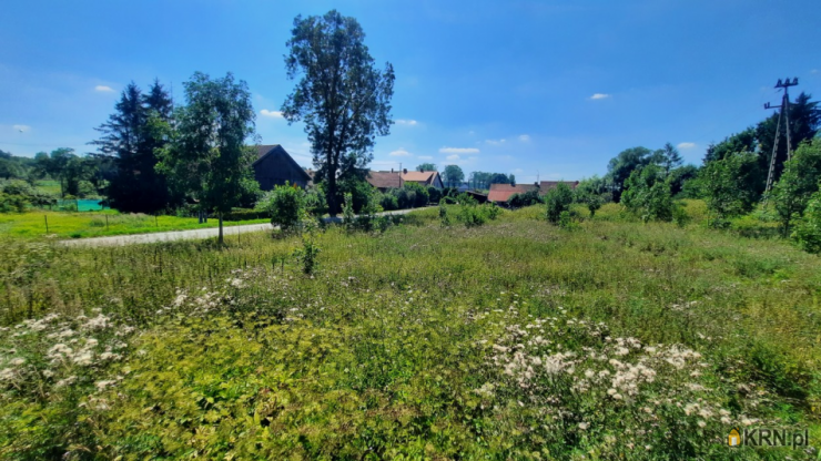 , Wilnowo, ul. , Działki  na sprzedaż