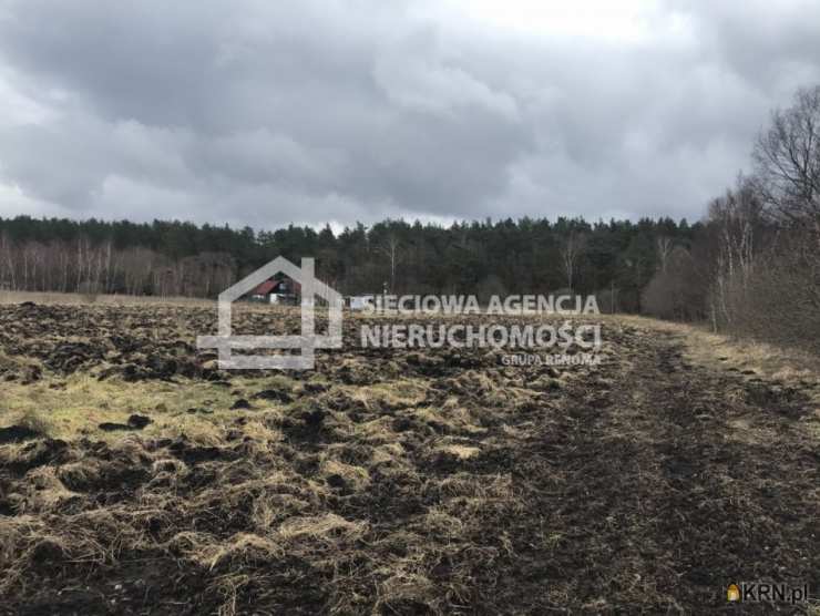 Działki  na sprzedaż, Sasino, ul. , 