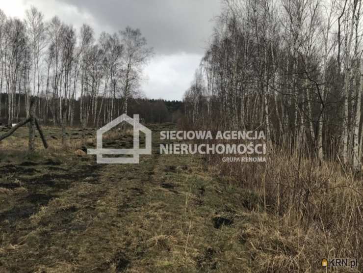 , Sasino, ul. , Działki  na sprzedaż