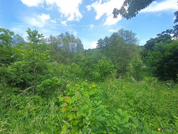 Działki  na sprzedaż, , Olszyniec, ul. 