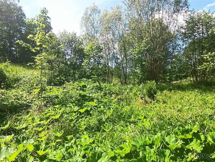 Olszyniec, ul. , , Działki  na sprzedaż