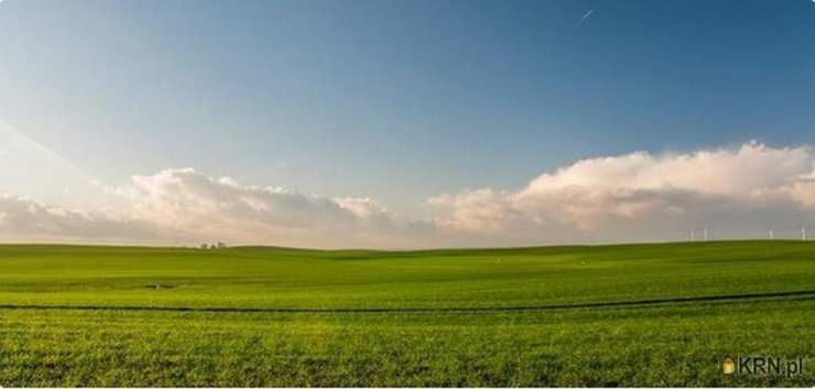 Działki  na sprzedaż, Jurowce, ul. Wiejska, 