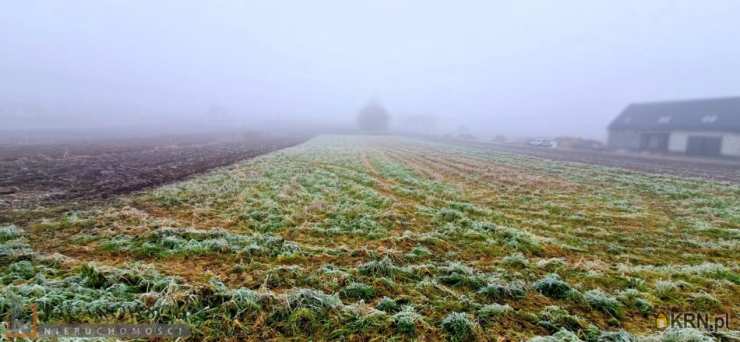 Działki  na sprzedaż, Kobylany, ul. , 