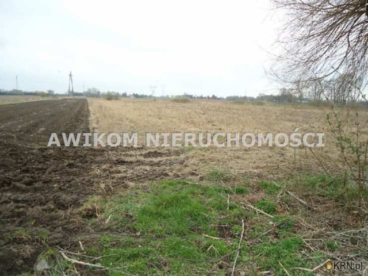 Działki  na sprzedaż, , Wola Łuszczewska, ul. 