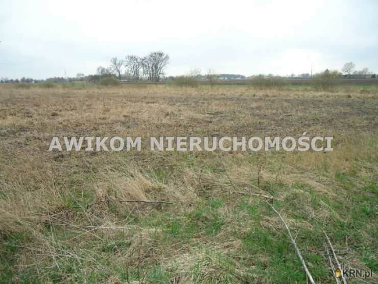 Wola Łuszczewska, ul. , Działki  na sprzedaż, 