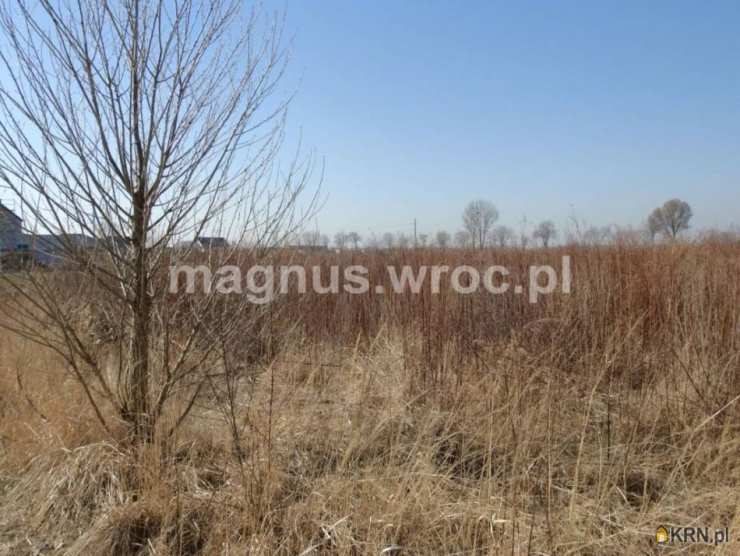 Suchy Dwór, ul. , , Działki  na sprzedaż