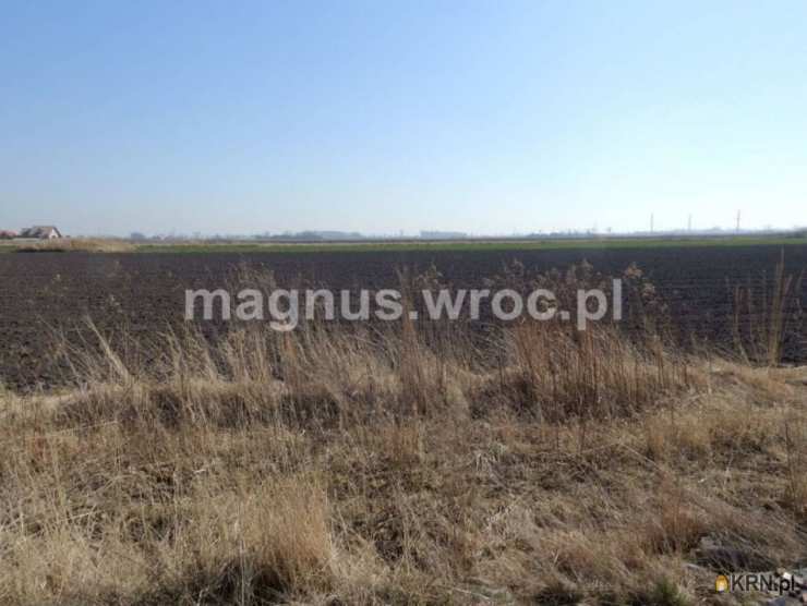 Działki  na sprzedaż, Suchy Dwór, ul. , 