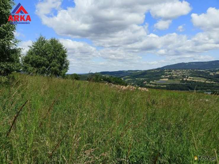 Działki  na sprzedaż, Limanowa, ul. , 