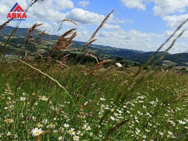 Limanowa, ul. , Działki  na sprzedaż, 