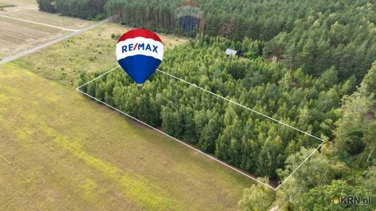 Działki  na sprzedaż, Puszcza Rządowa, ul. , 