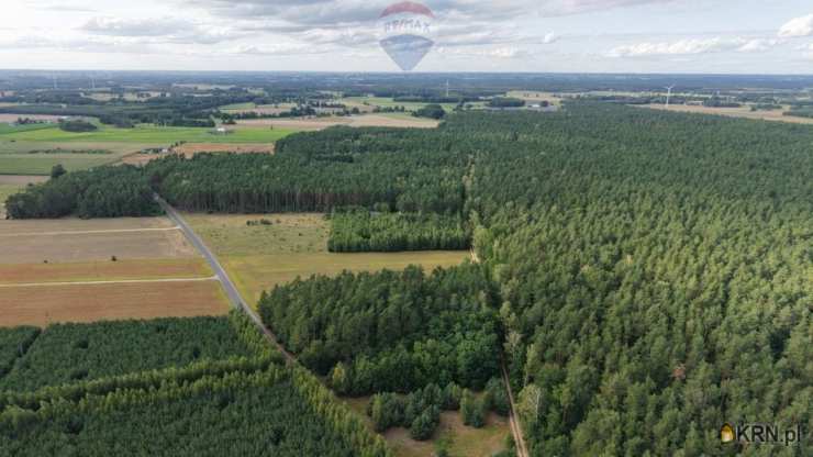 Puszcza Rządowa, ul. , Działki  na sprzedaż, 