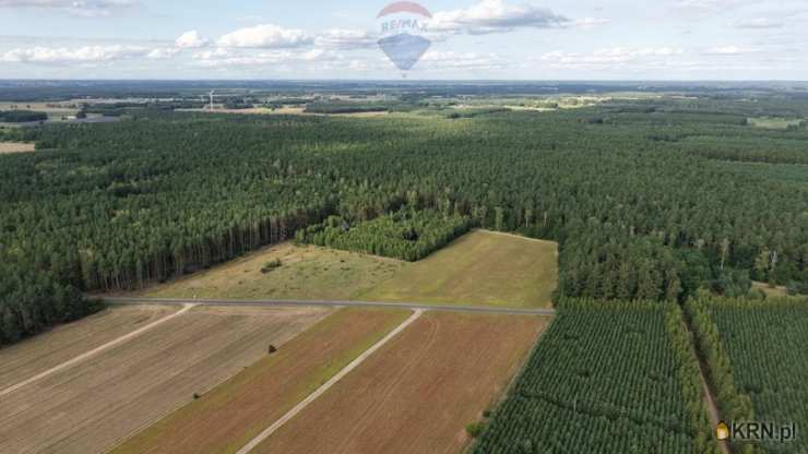 , Puszcza Rządowa, ul. , Działki  na sprzedaż