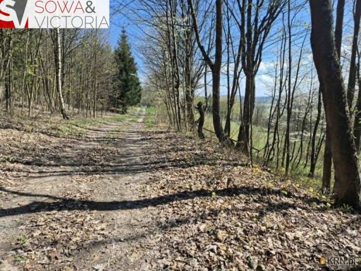 Głuszyca Górna, ul. , Działki  na sprzedaż, 