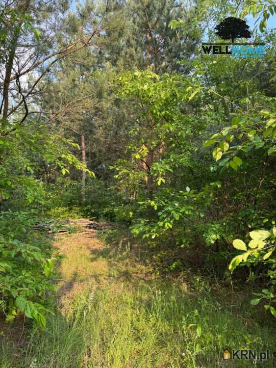 Sokolniki-Las, ul. , , Działki  na sprzedaż