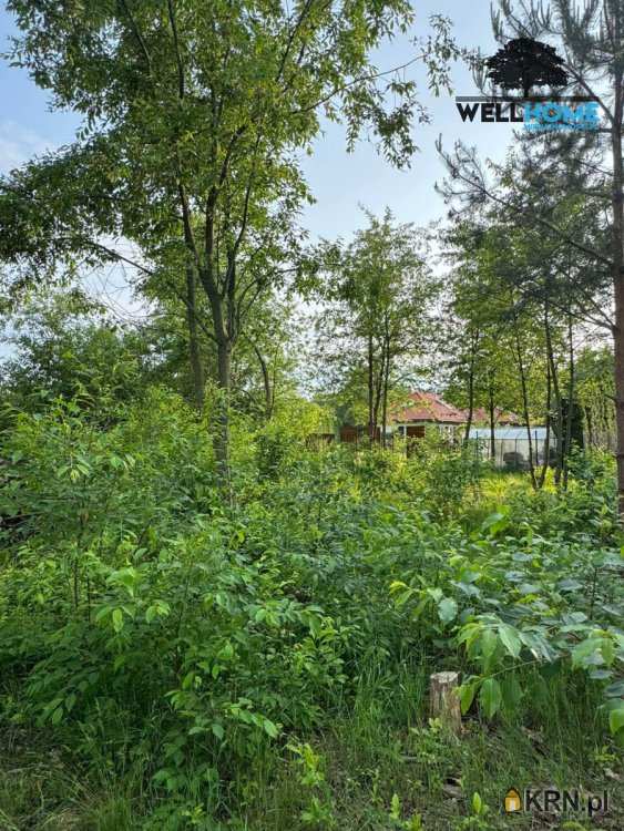 , Sokolniki-Las, ul. , Działki  na sprzedaż