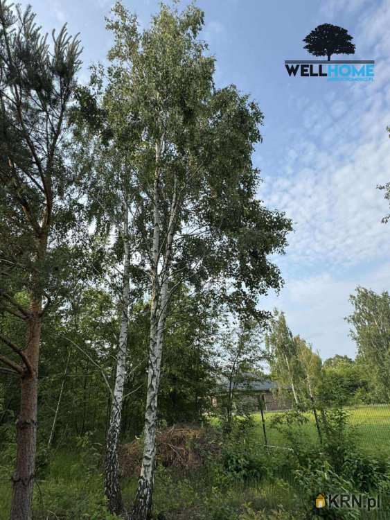 , Działki  na sprzedaż, Sokolniki-Las, ul. 